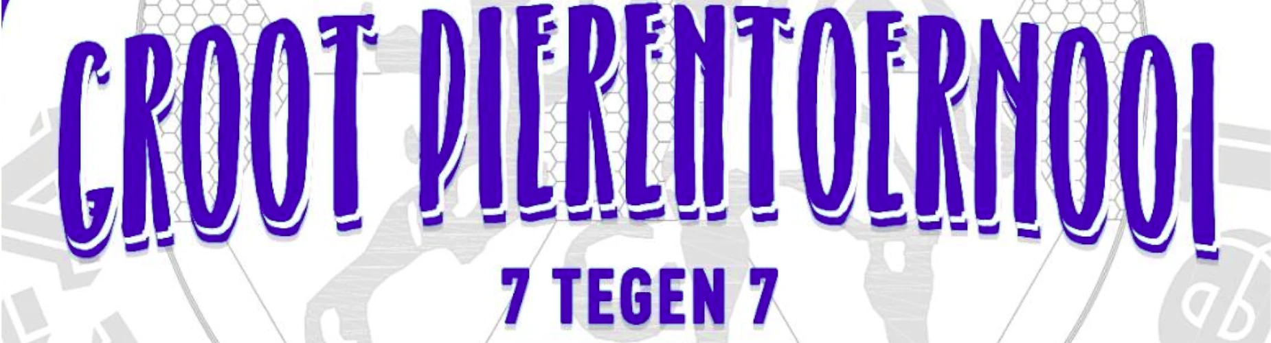 Banner - Mannen - Pierentoernooi 2024 - vv Steensel - Steensel