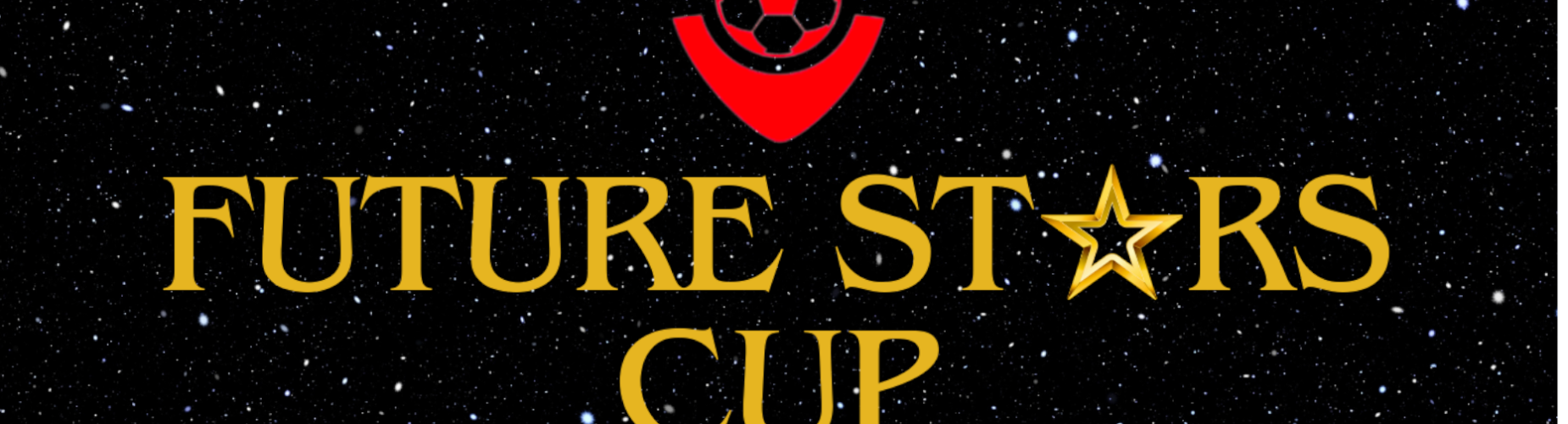 Banner - Future Stars Cup Finale - Stols Voetbal - Waddinxveen