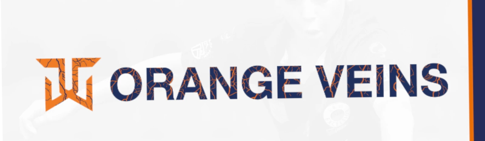 Bannière - Orange Veins  - Breda