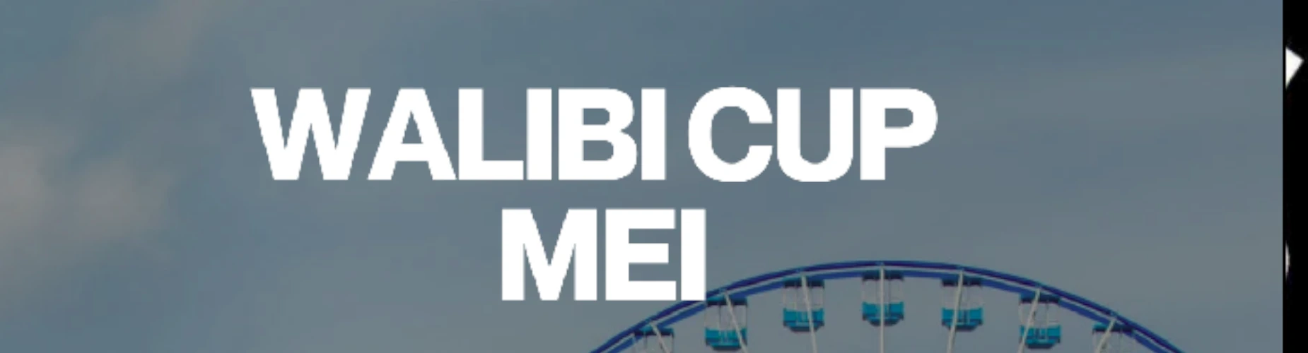 Banner - Walibi Cup Mei - Stols Voetbal - Waddinxveen